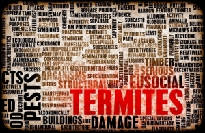 Selling a Home in the Guelph Termite Zone